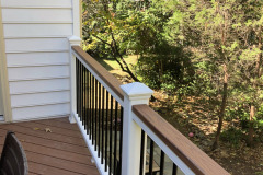 Deck with stairs and lattice skirt with gate - Broadlands, VA