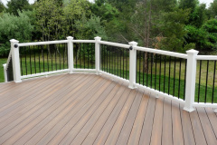 Fiberon Ipe decking. Trex Transcends railing - Vienna, VA