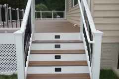 Fiberon Ipe decking. Trex Transcends railing - Vienna, VA