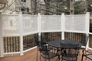 Deck in Trex Transcends Tiki Torch - Springfield, VA