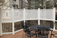 Deck in Trex Transcends Tiki Torch - Springfield, VA