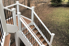 Deck in Trex Transcends Tiki Torch - Springfield, VA