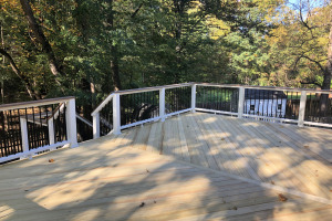 Pressure Treated C-Select deck with Trex Transcends railing. - Fairfax, VA  