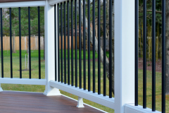 Screen porch in Wolf Rosewood decking. Trex Transcends railing - Alexandria, VA