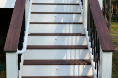 Screen porch in Wolf Rosewood decking. Trex Transcends railing - Alexandria, VA